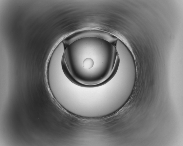 X0000096441488200802141442