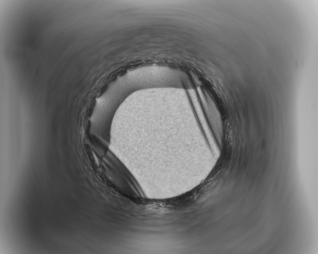 X0000096441489200802141441