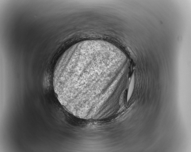 X0000096441490200802141441