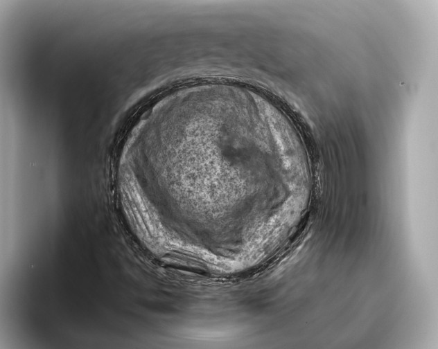 X0000096441494200802141441