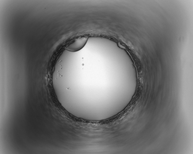 X0000096441495200802141441