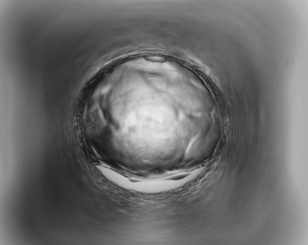 X0000096441496200802141441