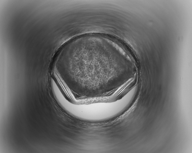 X0000096441497200802141441