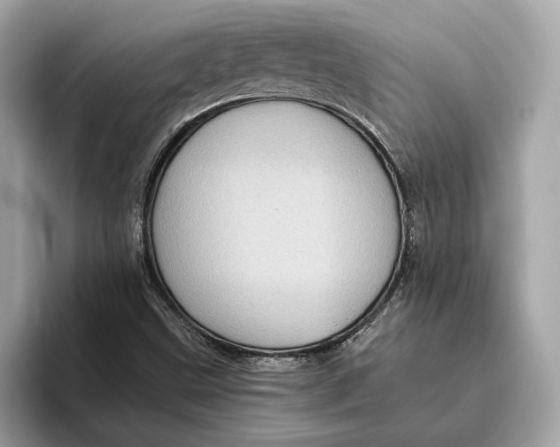 X0000096441499200802141441