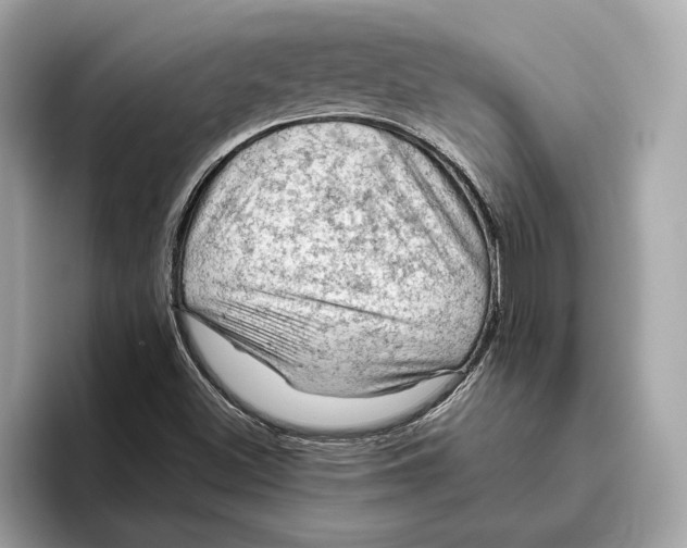 X0000096441500200802141441