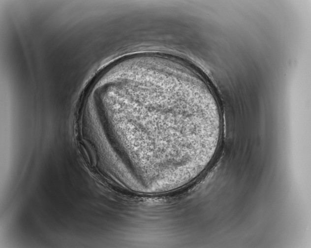 X0000096441501200802141441