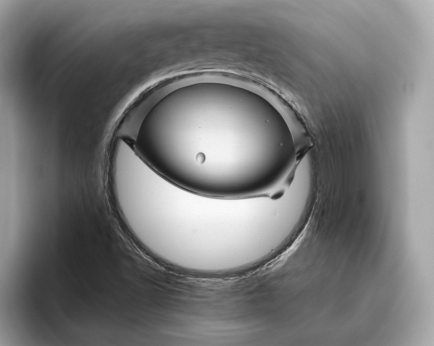 X0000096441502200802141441