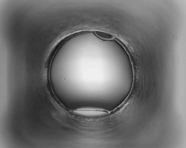 X0000096441503200802141441