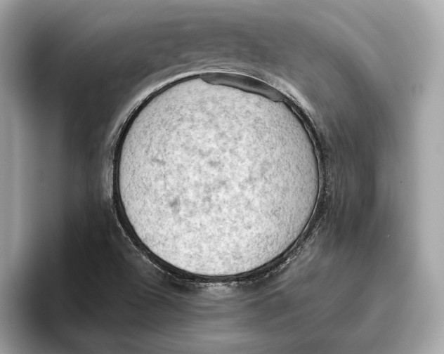 X0000096441504200802141441