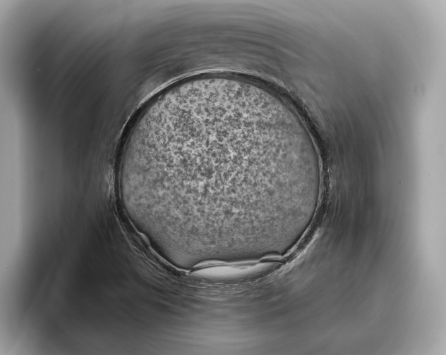 X0000096441505200802141441