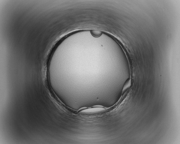 X0000096441507200802141441