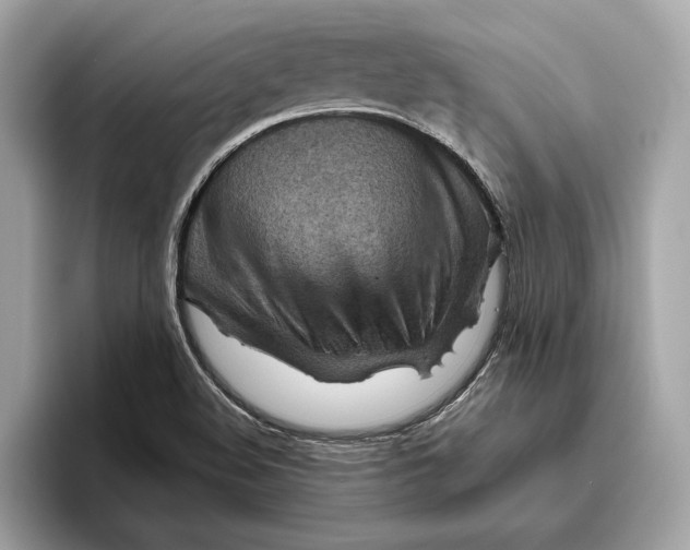 X0000096441508200802141441