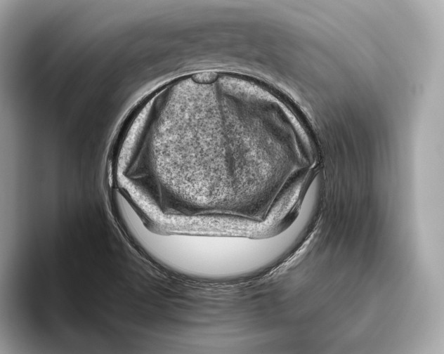 X0000096441509200802141441