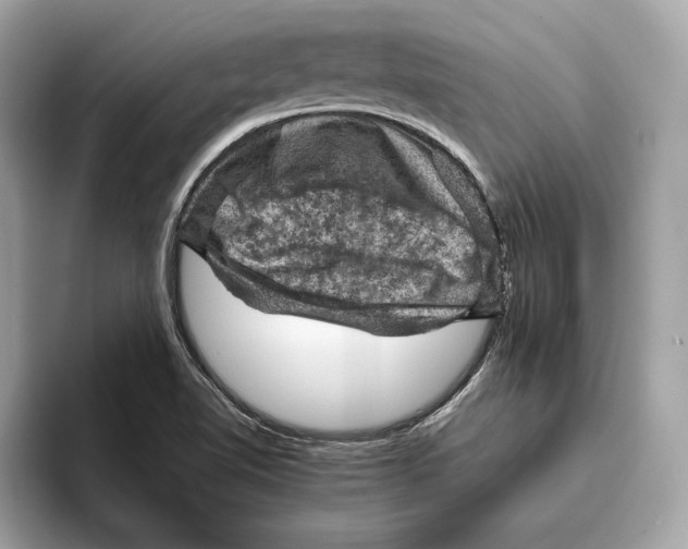 X0000096441510200802141441