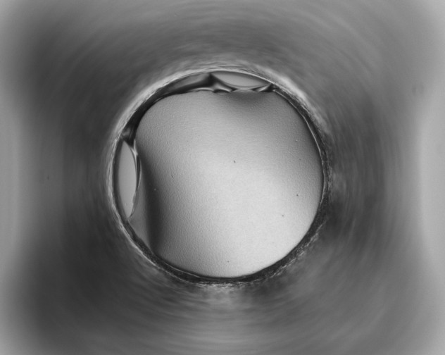 X0000096441512200802141441