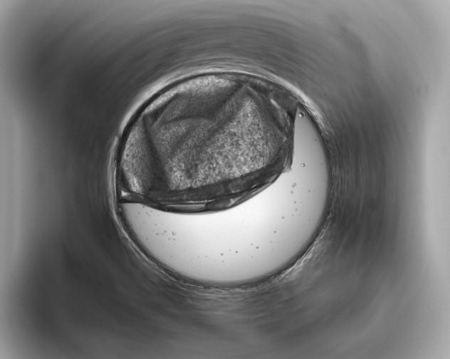 X0000096441514200802141441