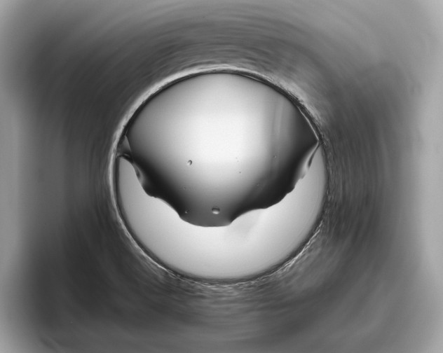 X0000096441516200802141441