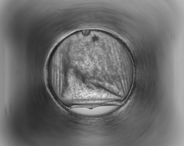 X0000096441517200802141441