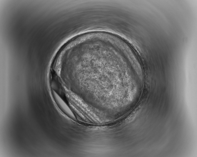 X0000096441519200802141441