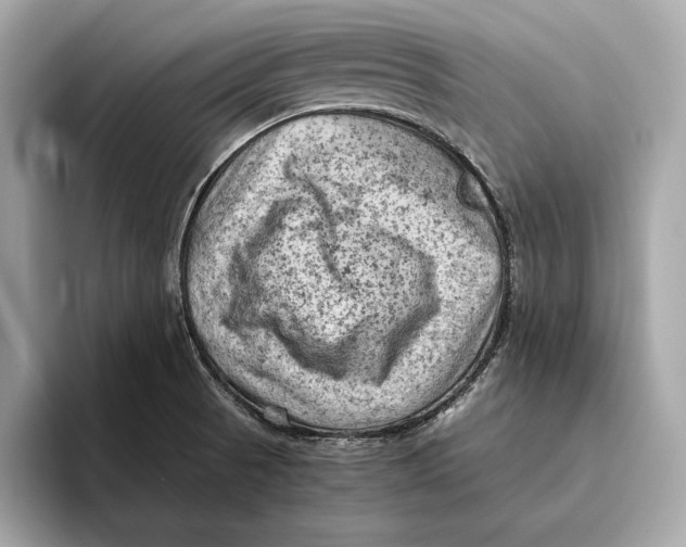 X0000096441521200802141441