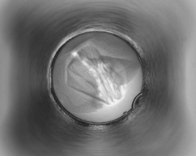 X0000096441522200802141441