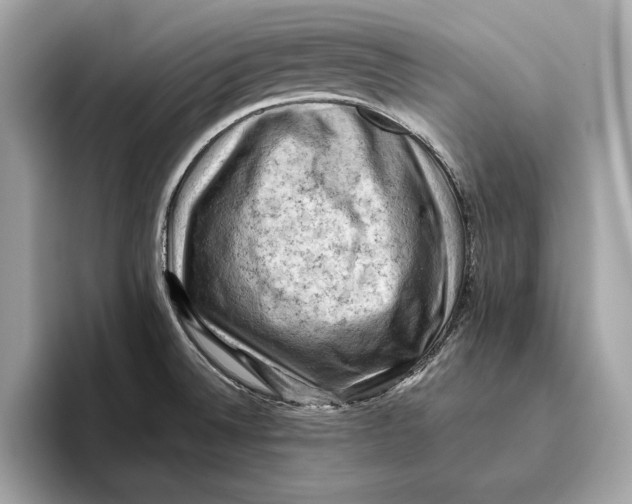 X0000096441524200802141441