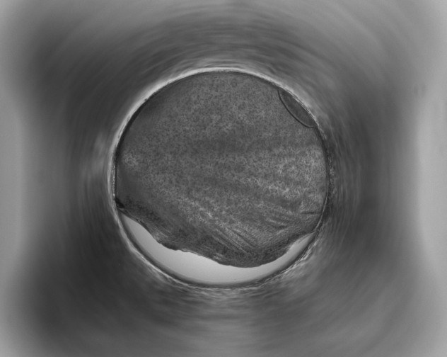 X0000096441527200802141442