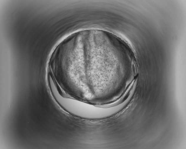 X0000096441528200802141442