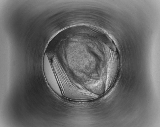 X0000096441529200802141442