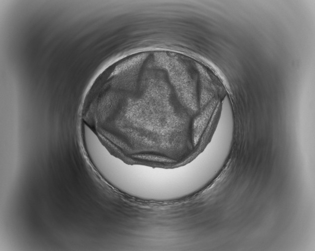 X0000096441530200802141442