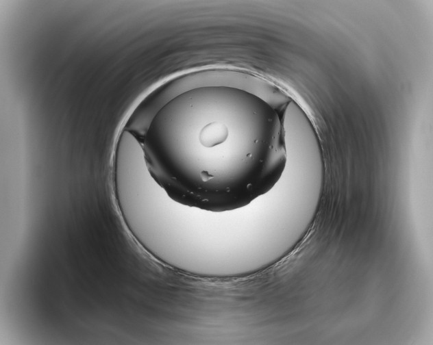 X0000096441532200802141442