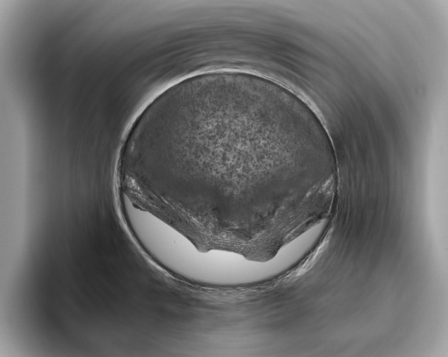 X0000096441533200802141442