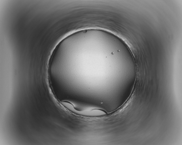 X0000096441534200802141442