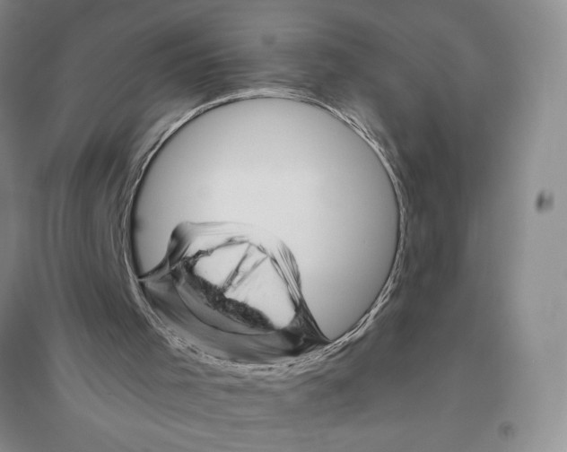 X0000096440001200802211221