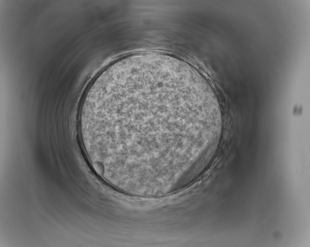 X0000096440002200802211221