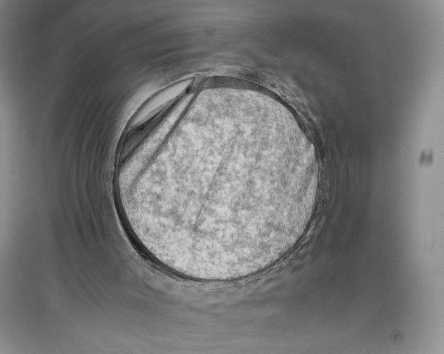 X0000096440003200802211221