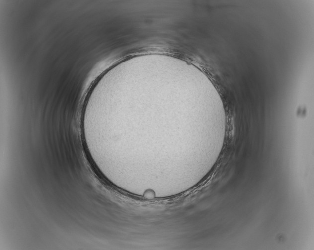 X0000096440004200802211221