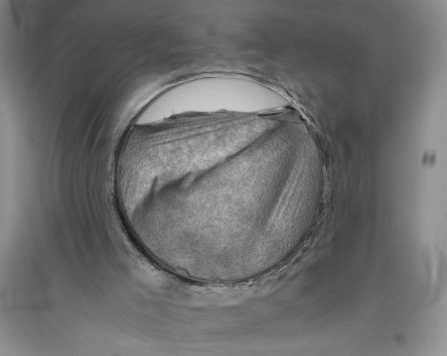 X0000096440005200802211221