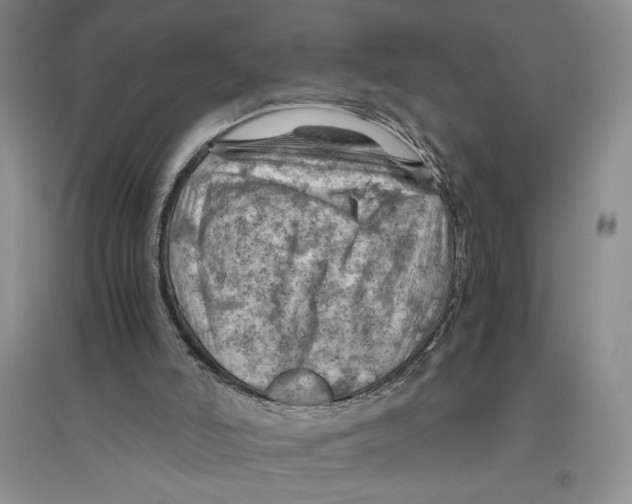 X0000096440006200802211221