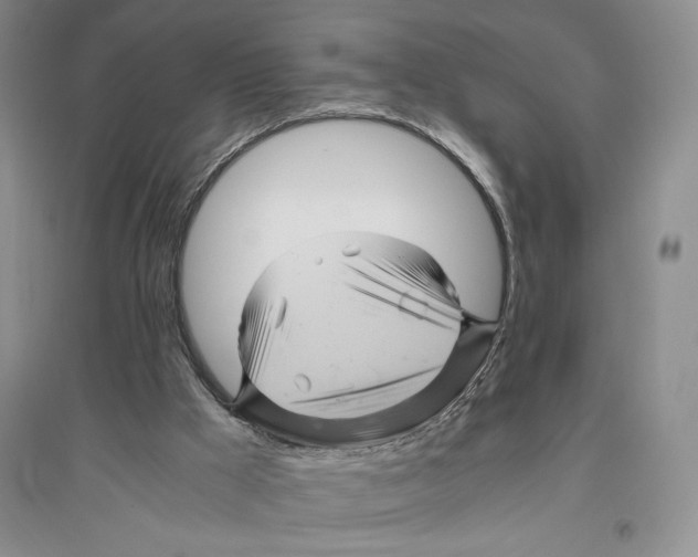 X0000096440009200802211221