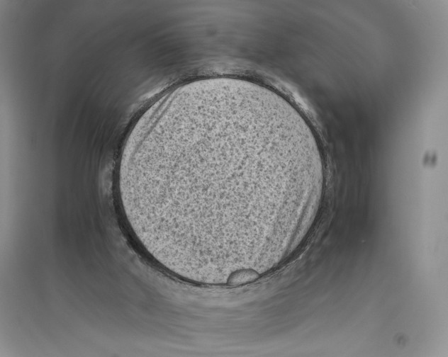 X0000096440010200802211221