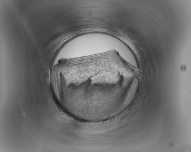 X0000096440013200802211221