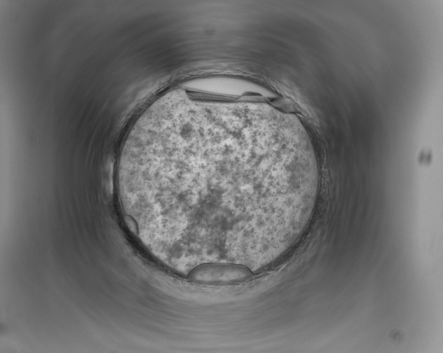 X0000096440014200802211221