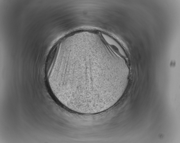 X0000096440015200802211221