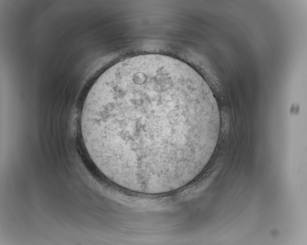 X0000096440016200802211221