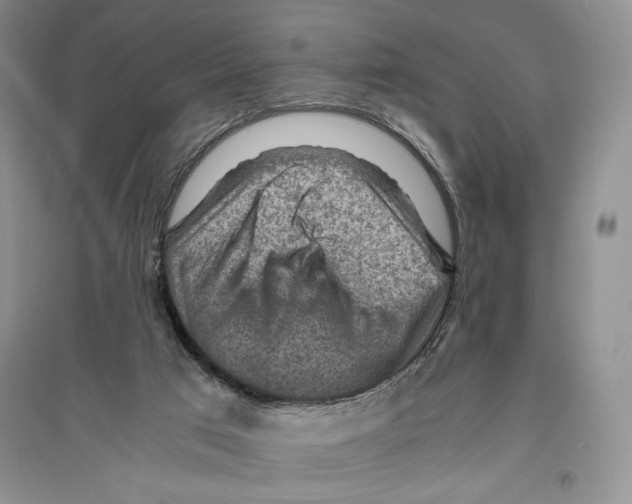 X0000096440017200802211221