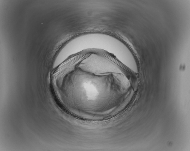 X0000096440019200802211221