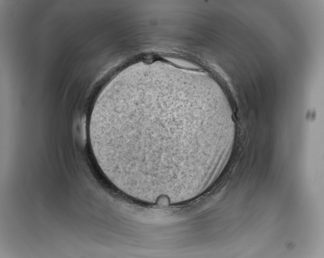 X0000096440020200802211221