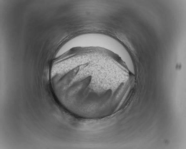 X0000096440021200802211221