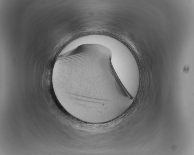 X0000096440023200802211221